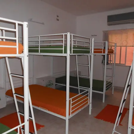 Alameda Hostal *