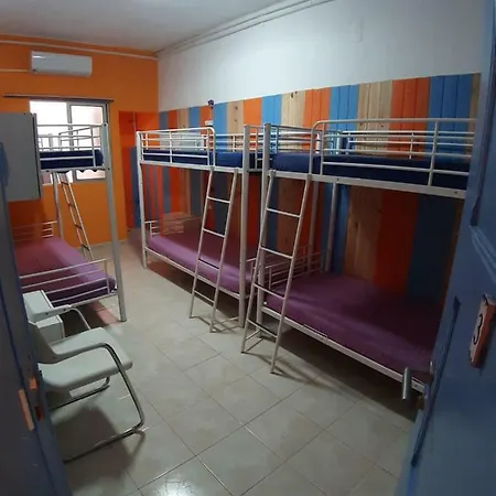 Alameda 포티마오