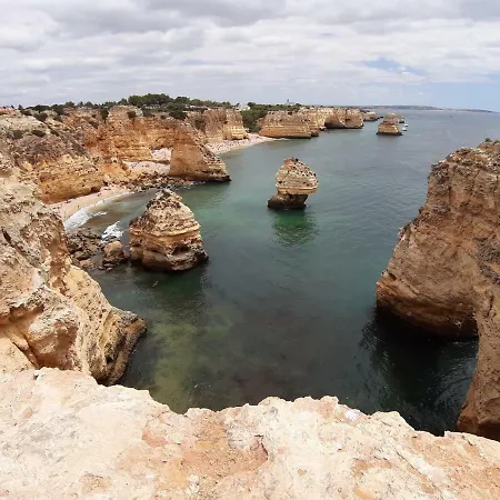 Alameda 포티마오