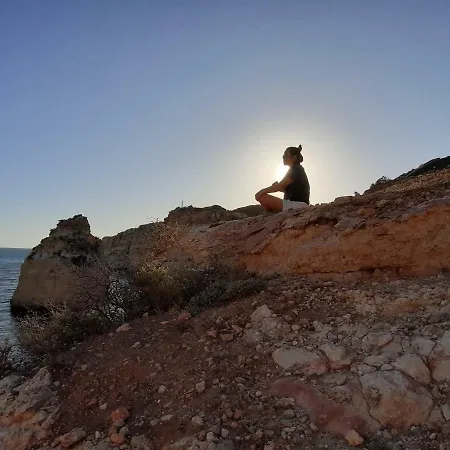 Alameda بيت شباب *