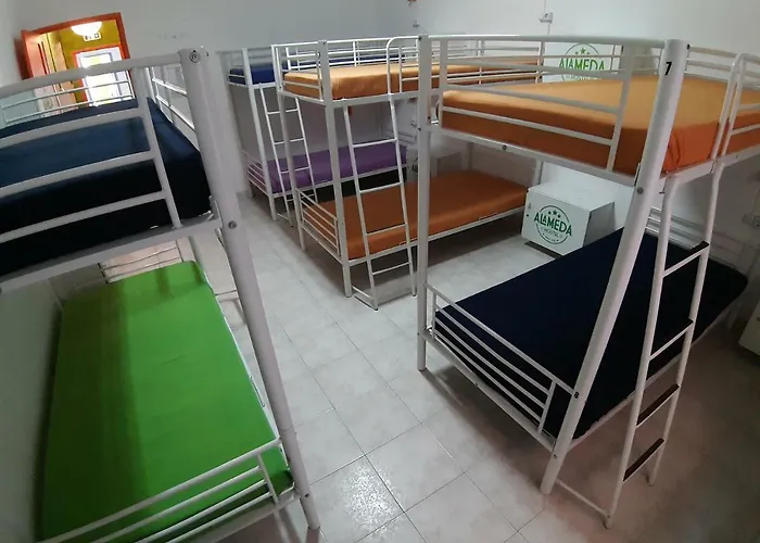 Alameda Hostel *